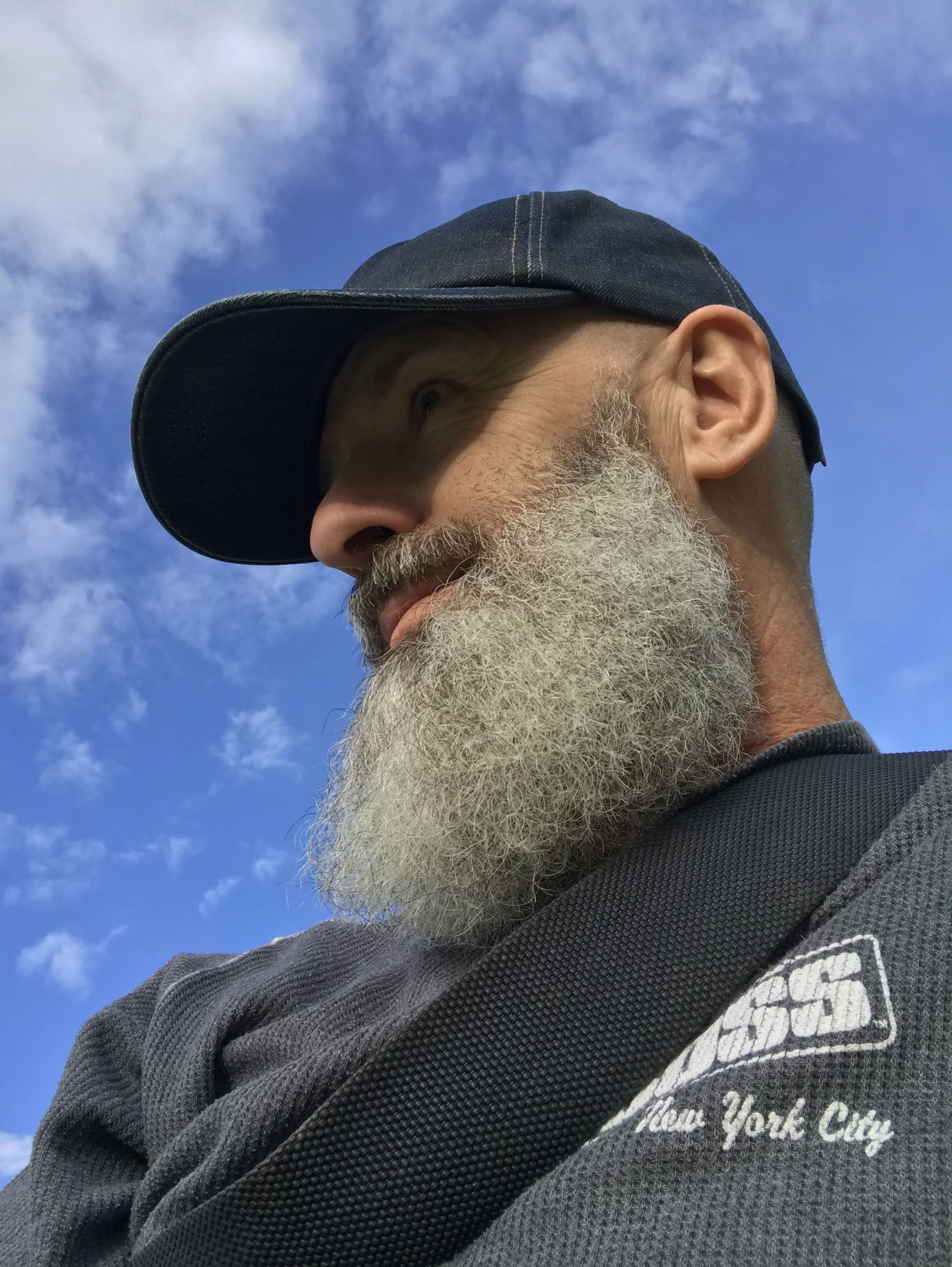 Pup Broocee's avatar