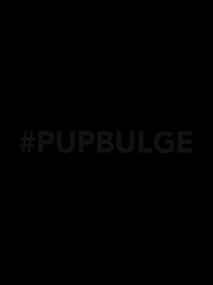 Pup Bulge's avatar