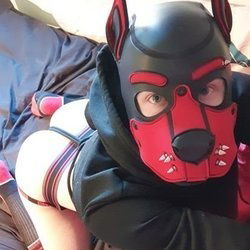 PupFeng
