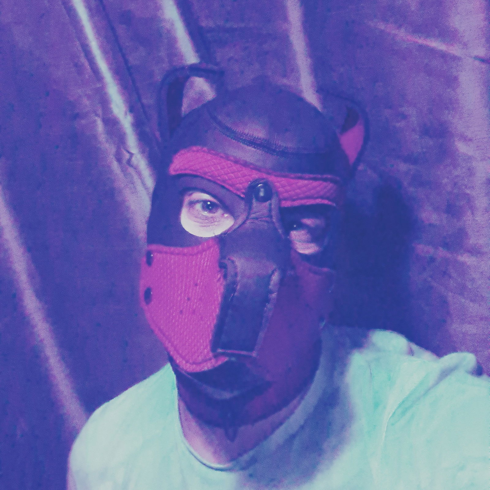 PupLoki💯's avatar