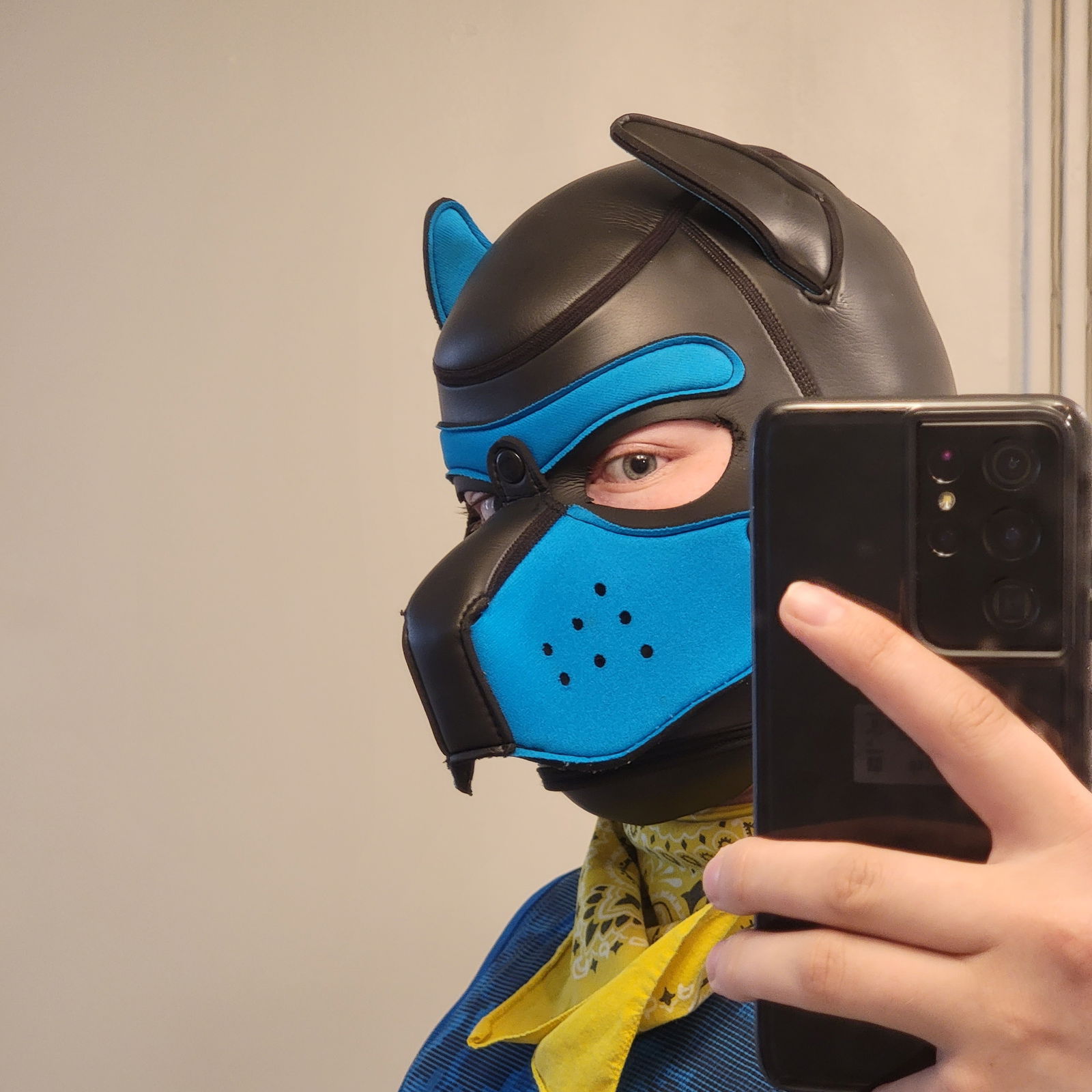 Pup Mystery's avatar
