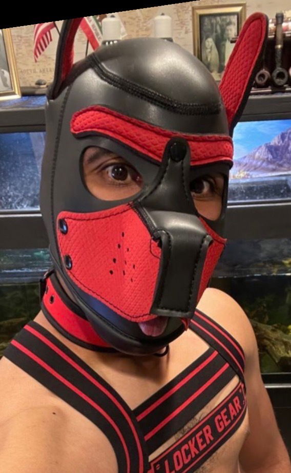 Pupper Atticus's avatar