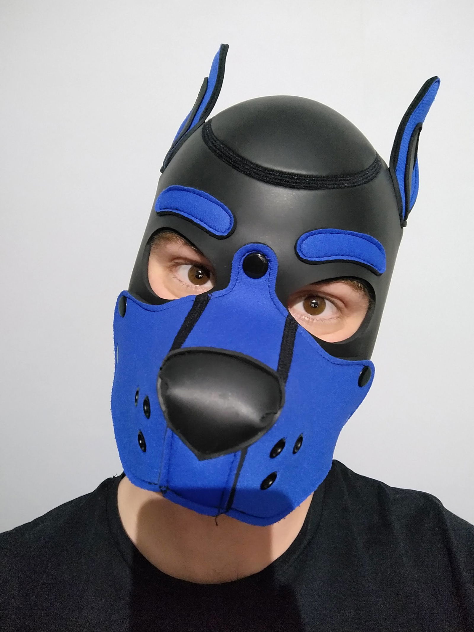Pup Rupert's avatar