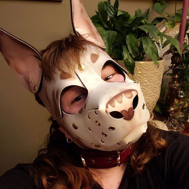 🦴 𝙲𝚘𝚙𝚙𝚎𝚛 🐾 𝚅𝙸𝙿's avatar