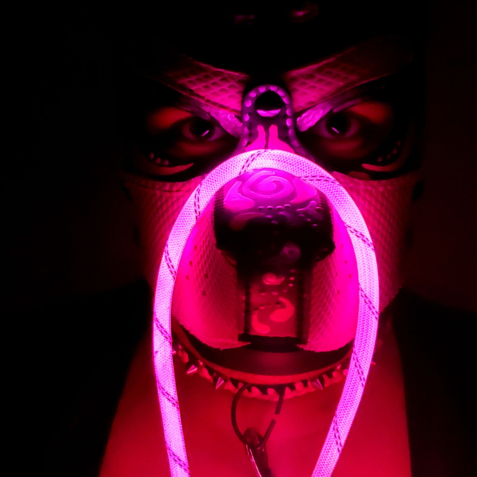 Pup Ramsey's avatar