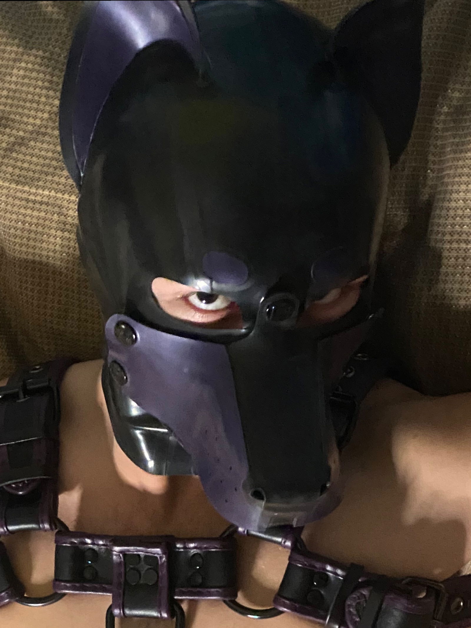 Royce's avatar