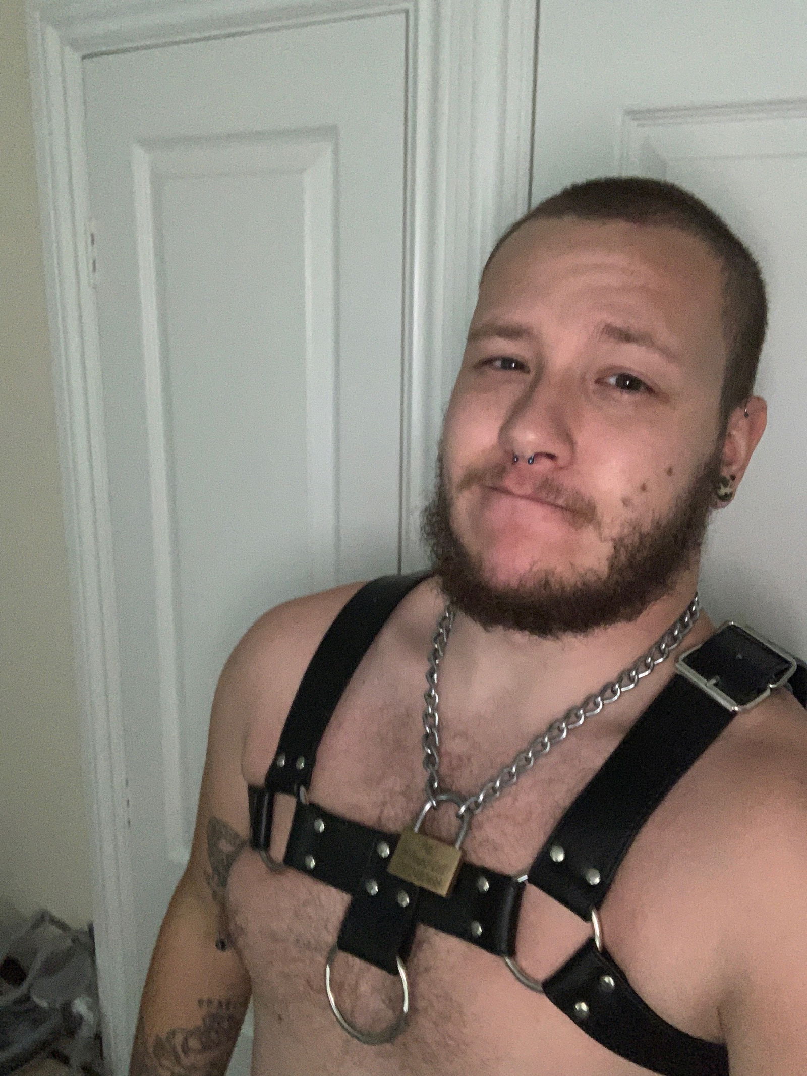 Pupshaun's avatar