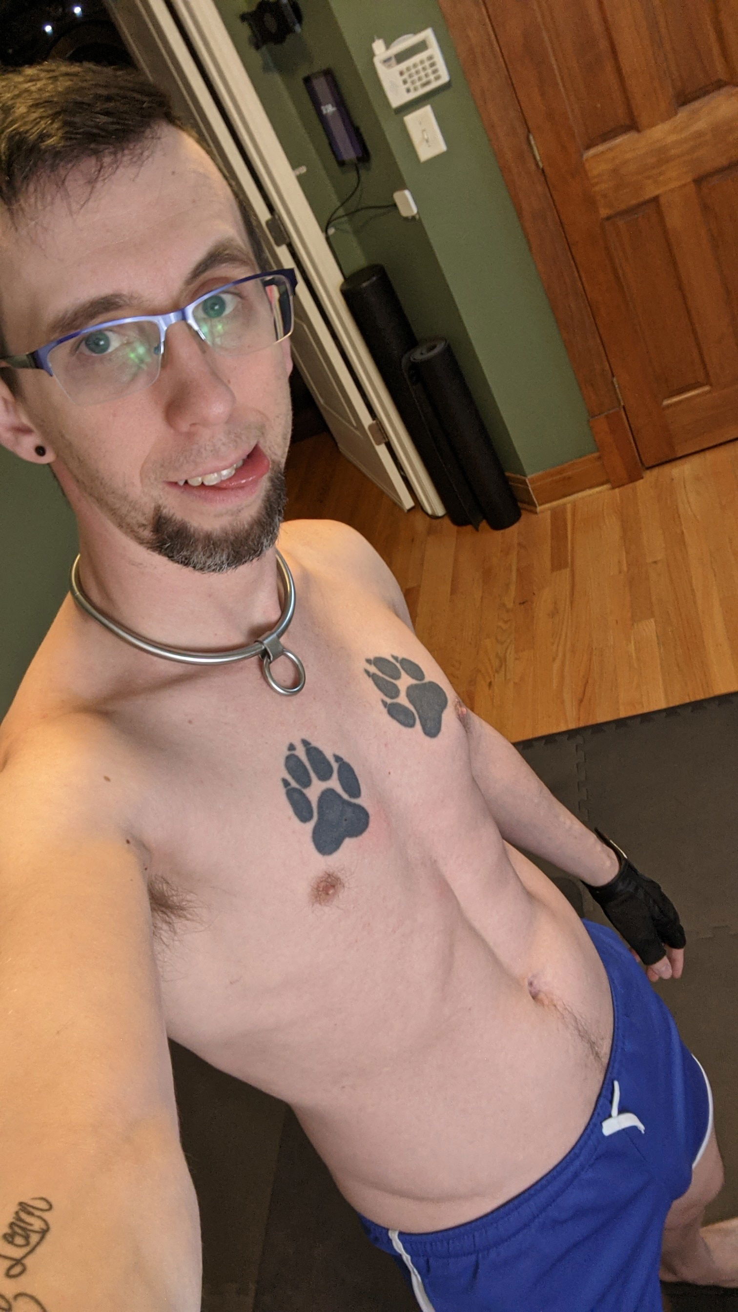 Pup Snuggles's avatar