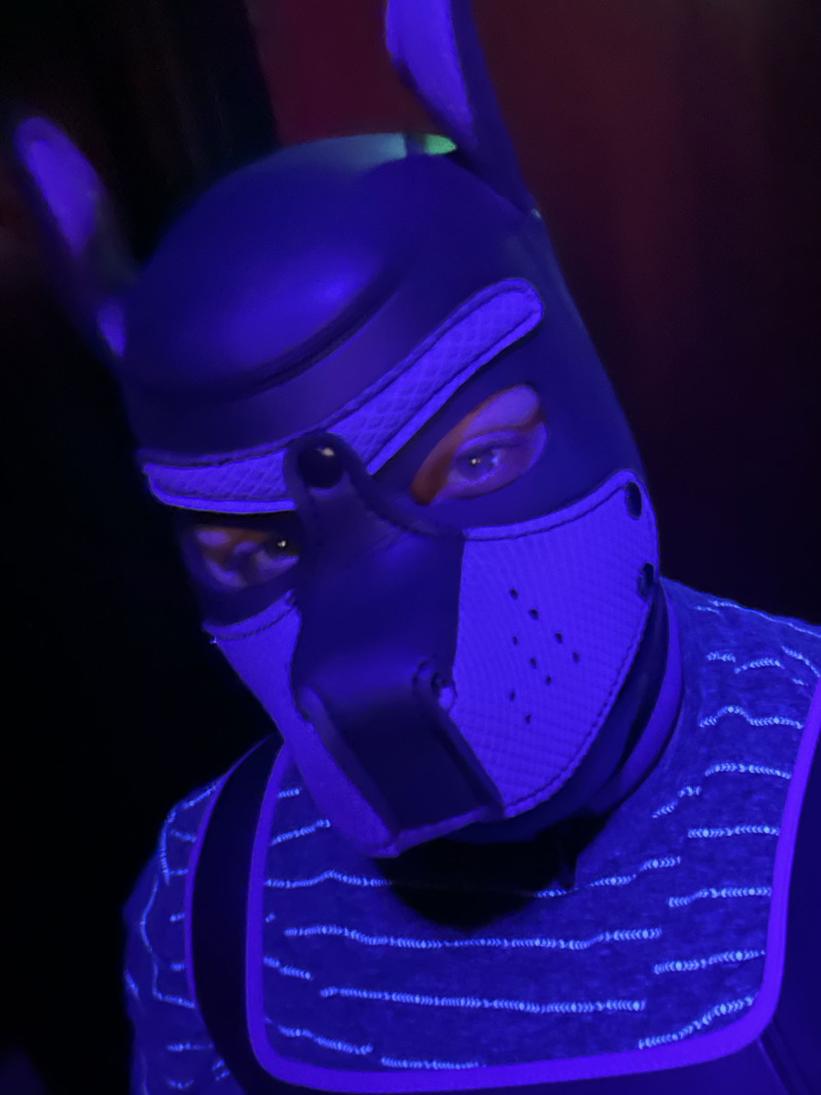 PupSpence's avatar