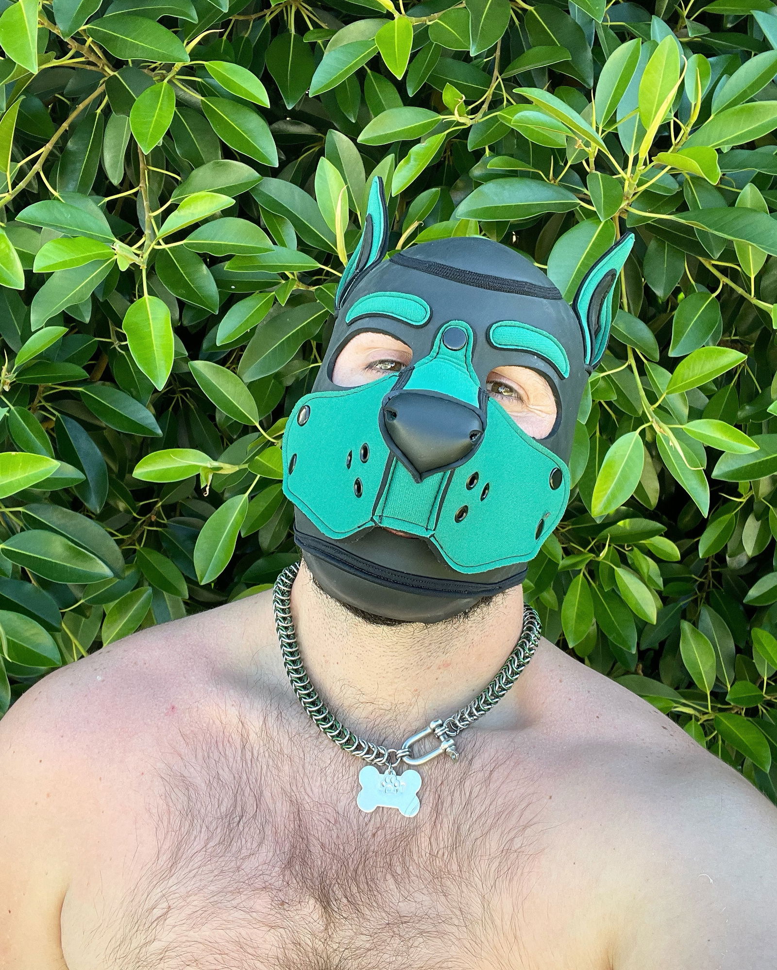 ₐdᵥₑₙₜᵤᵣₑₛₒfTANK's avatar