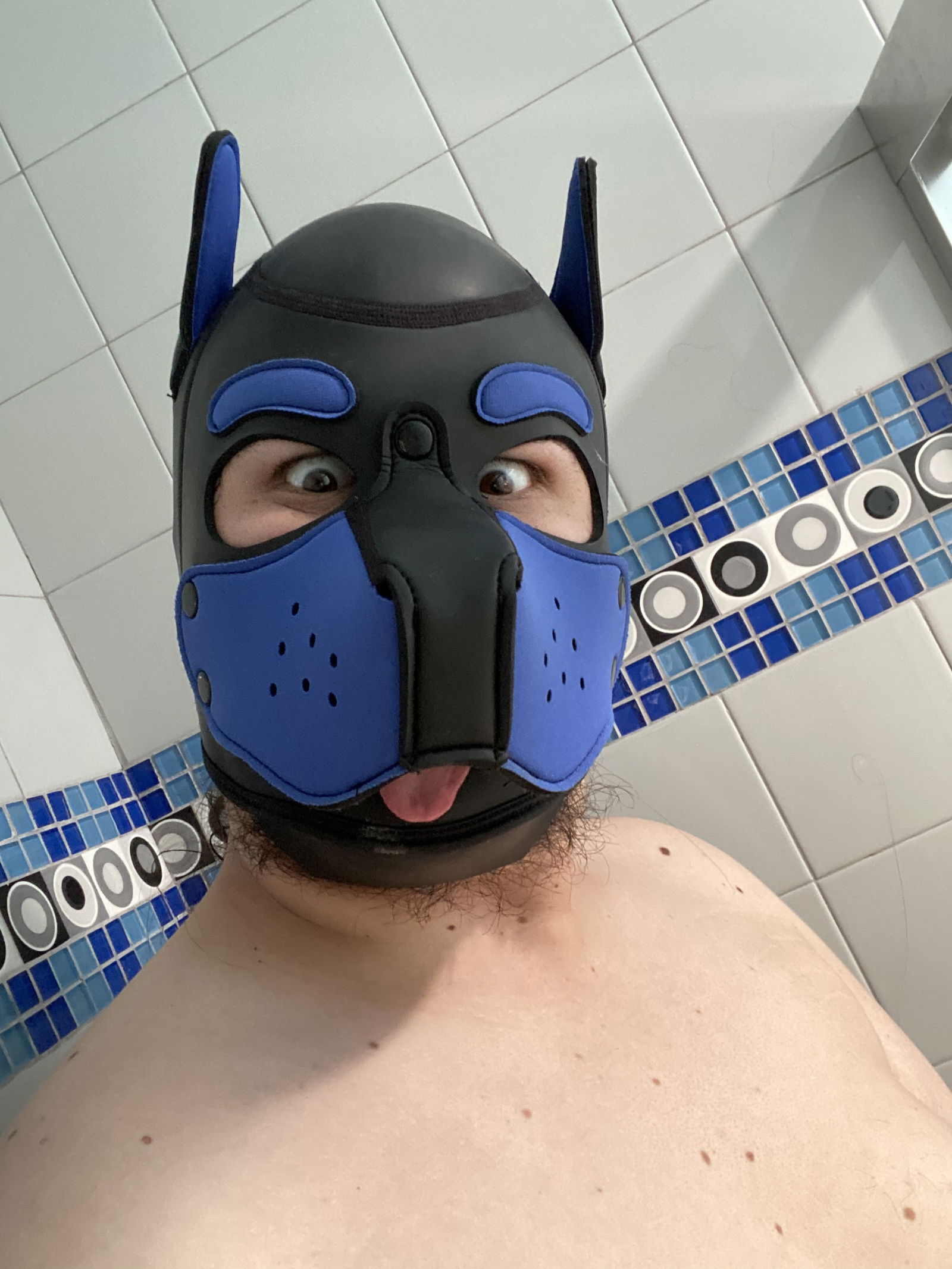 Pup Tobias's avatar