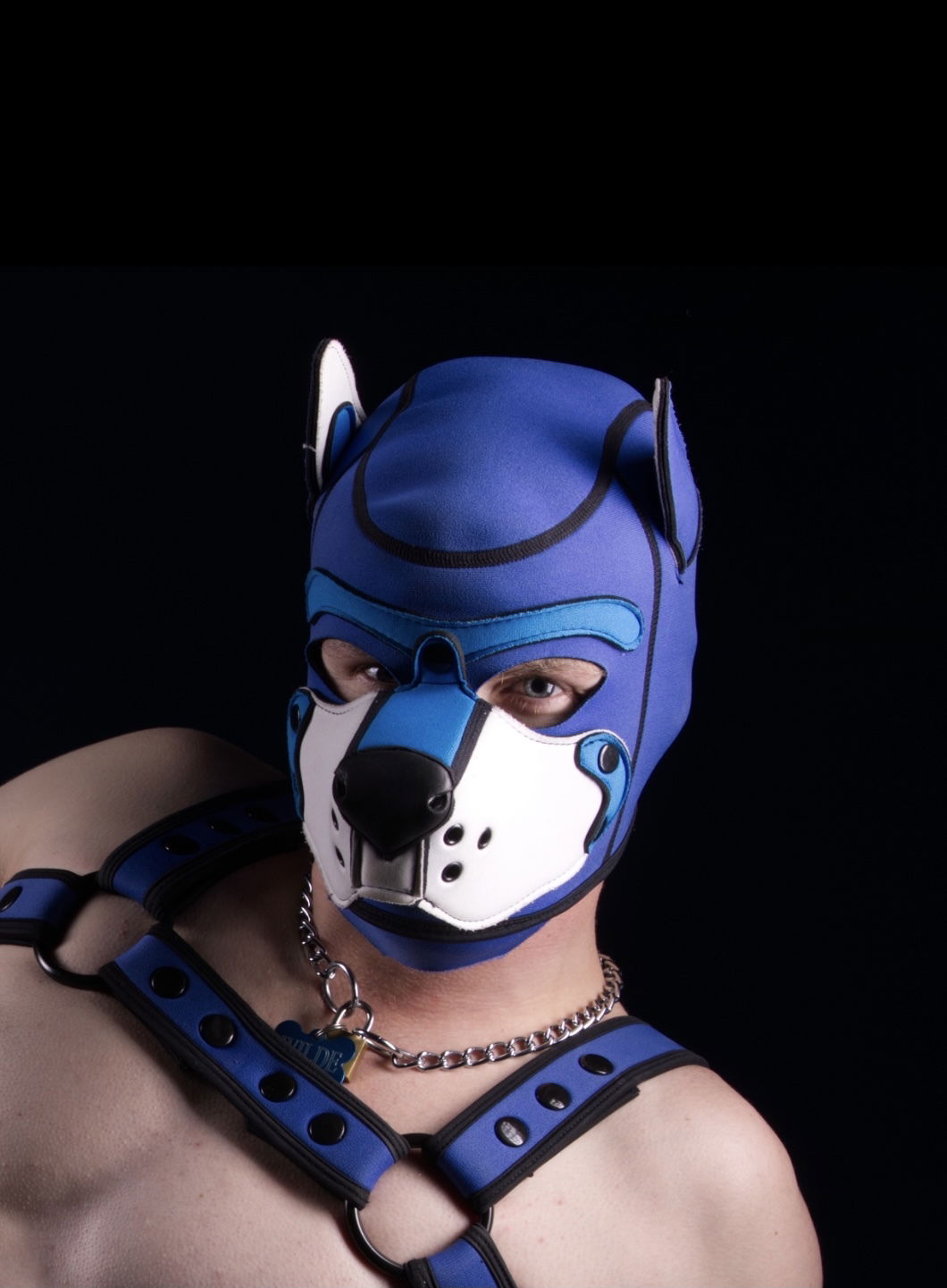 Pup Wilde's avatar