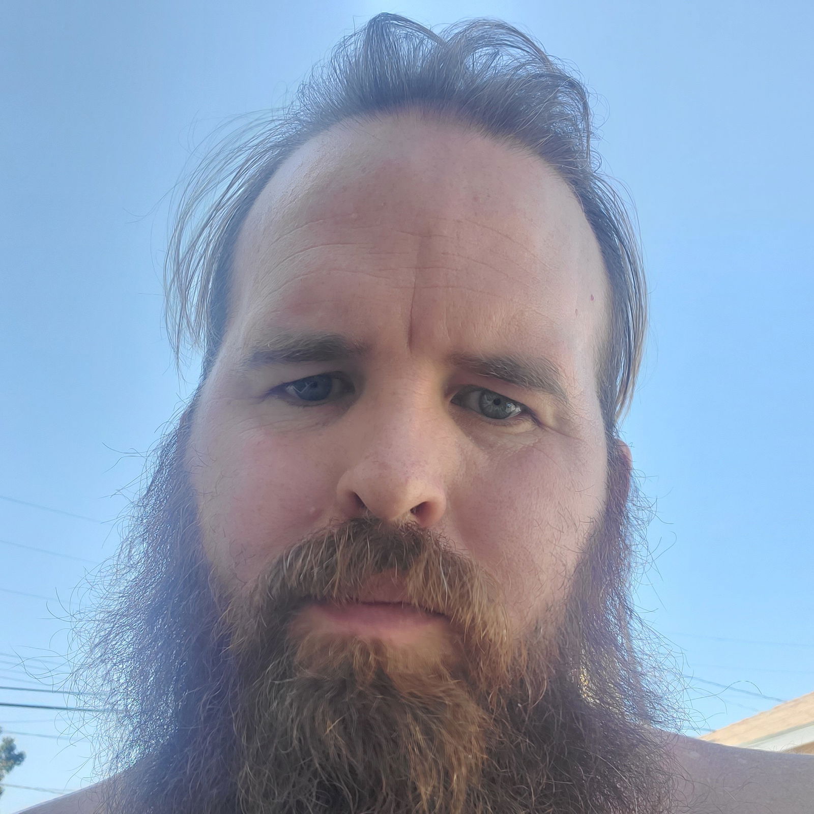 PurpleHeadedYogurtSlinger's avatar