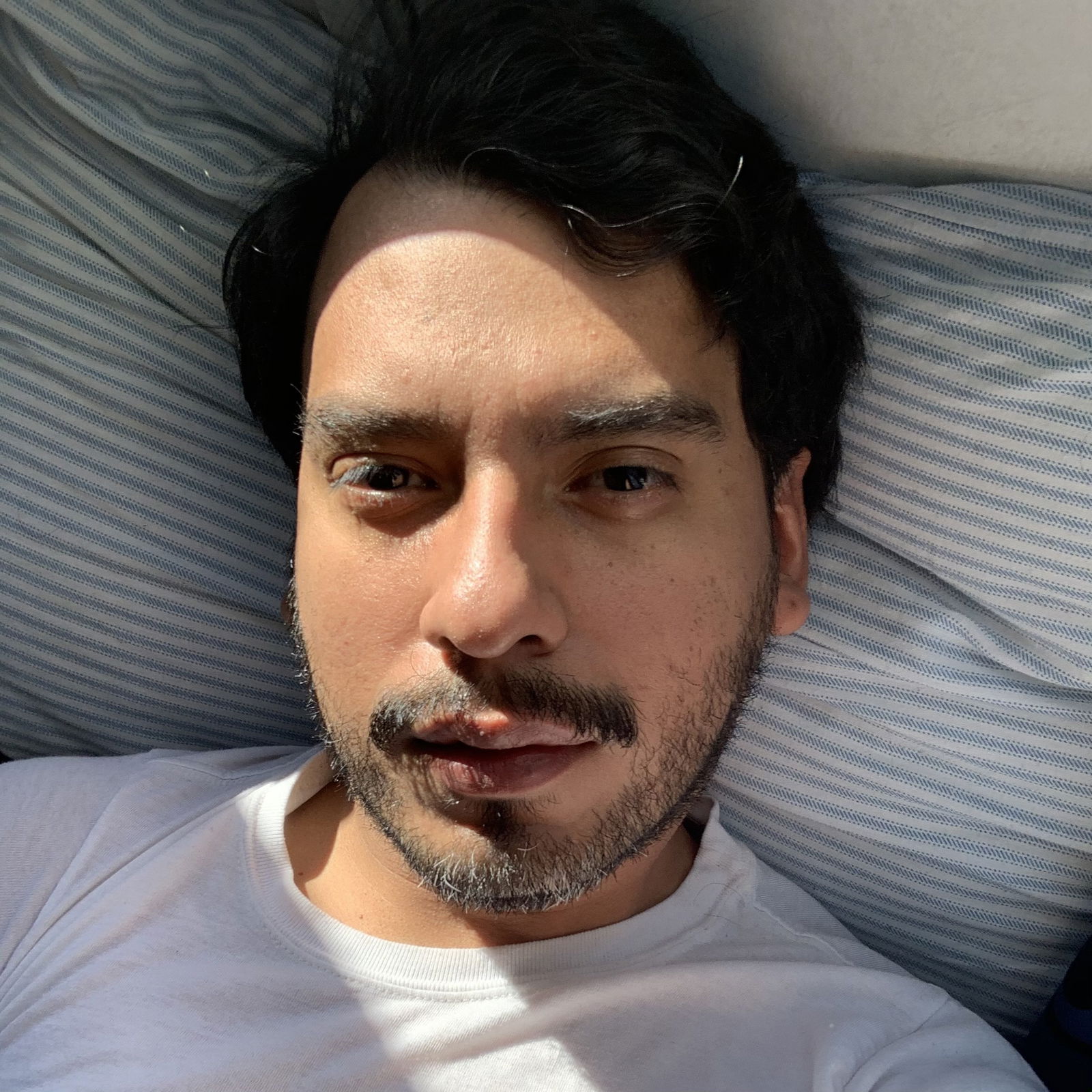 Paolo's avatar