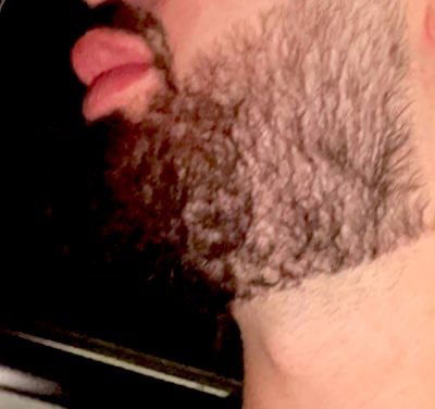 Rabo_ español's avatar