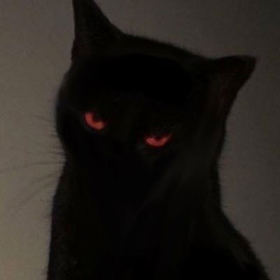 kathy's avatar