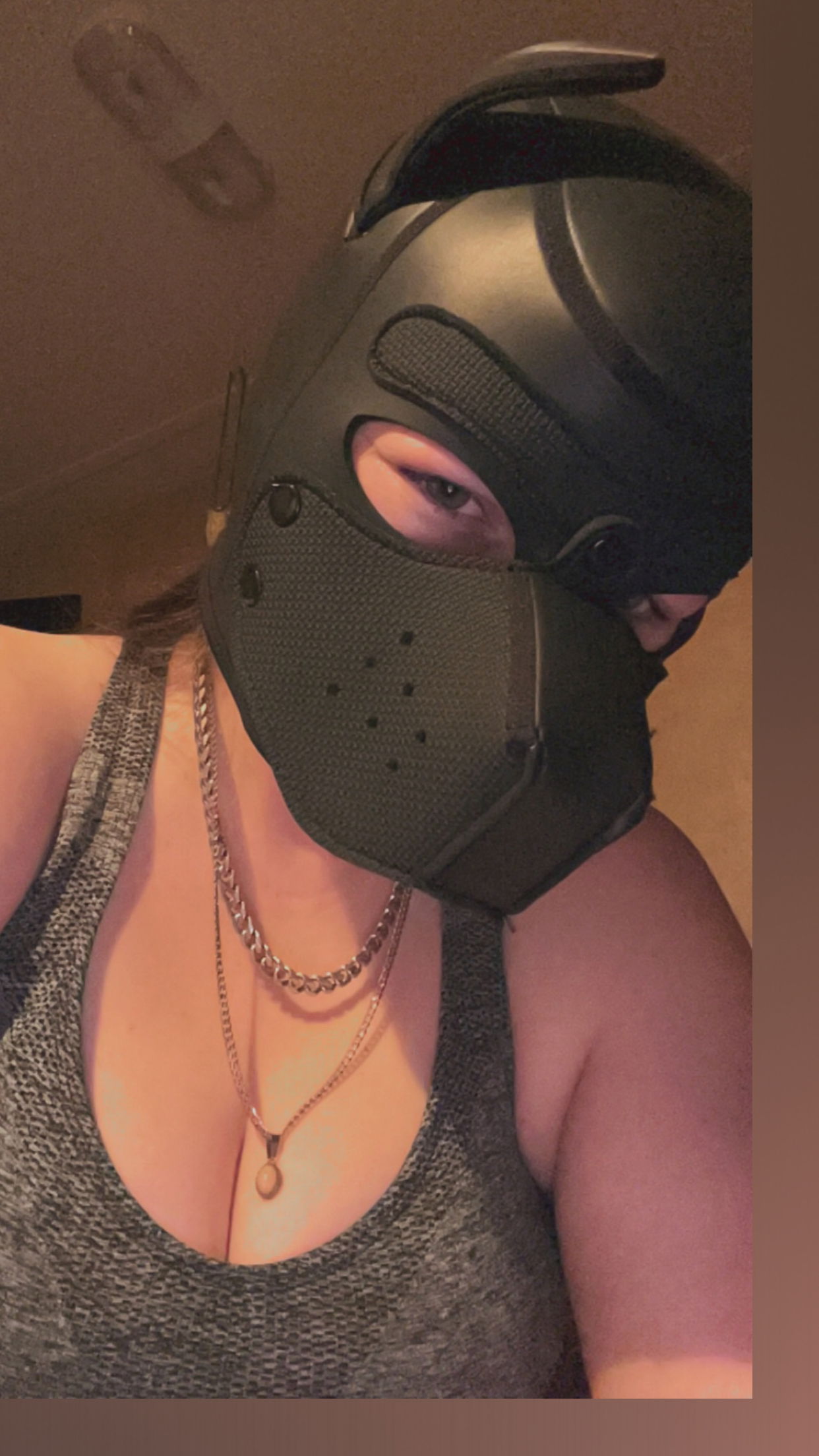 🖤✨ 𝓣𝓲𝓹 𝓽𝓸 𝓟𝓮𝓽 ✨🖤