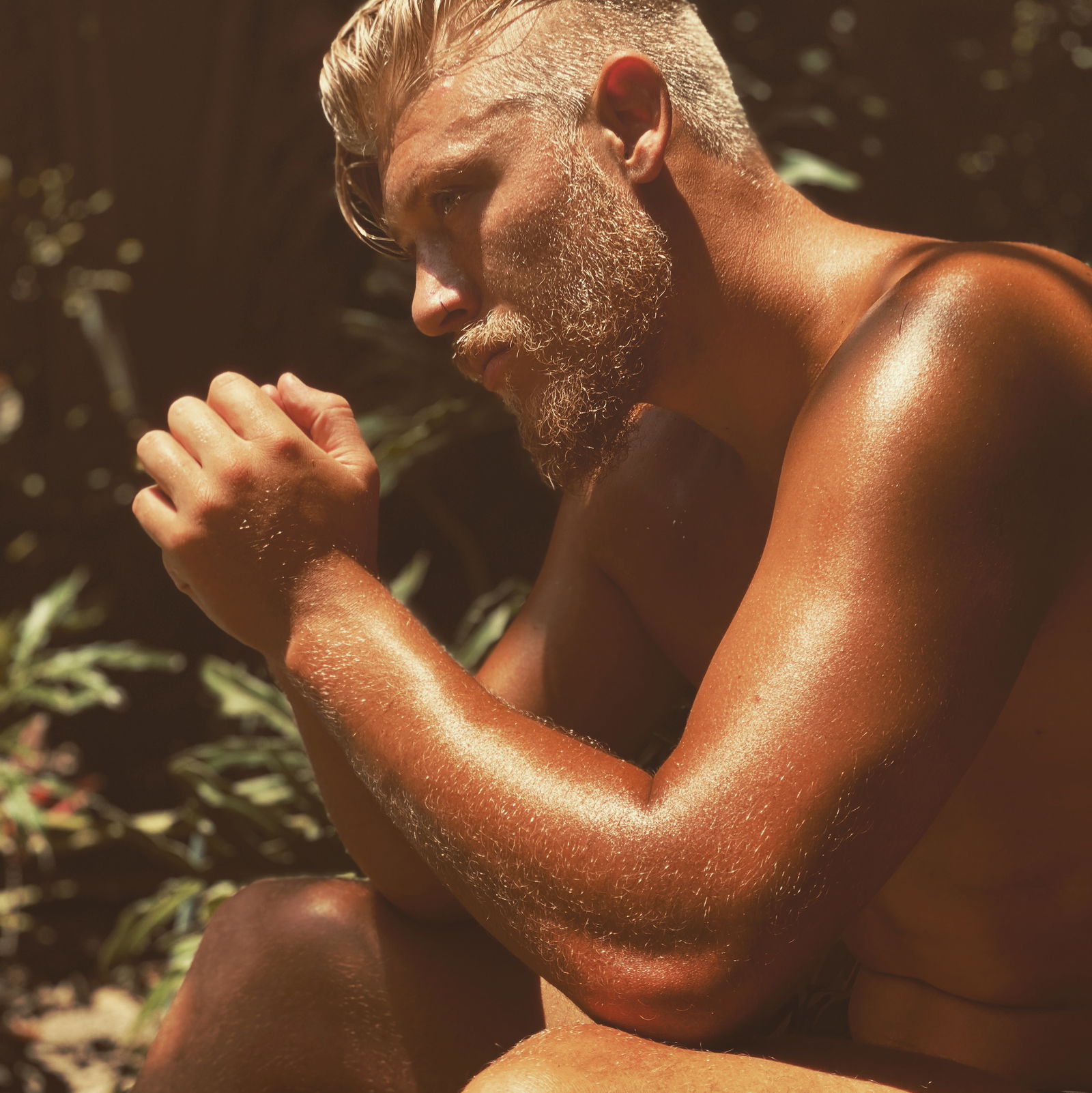 Jaxson Wolfe's avatar