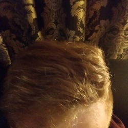 Redcub's avatar