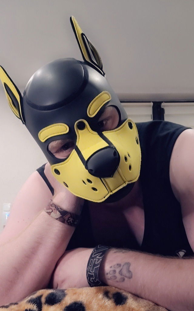 RoxThePup's avatar