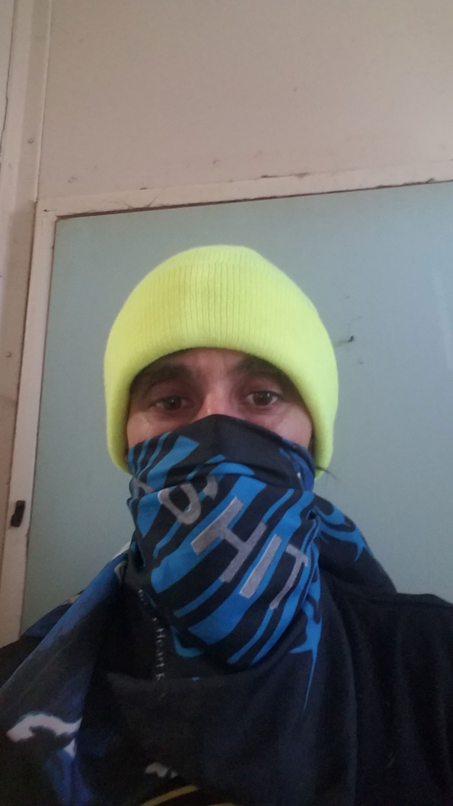 Rudedolphin's avatar