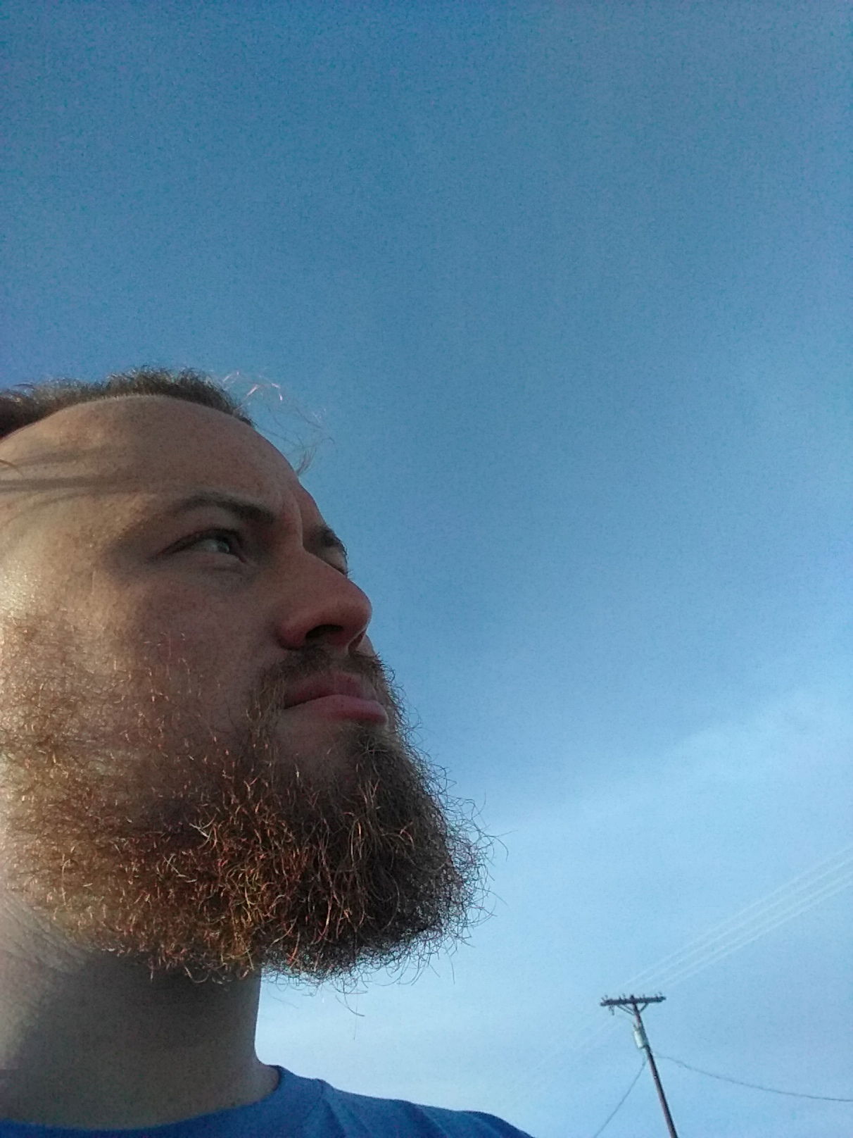 Levi's avatar