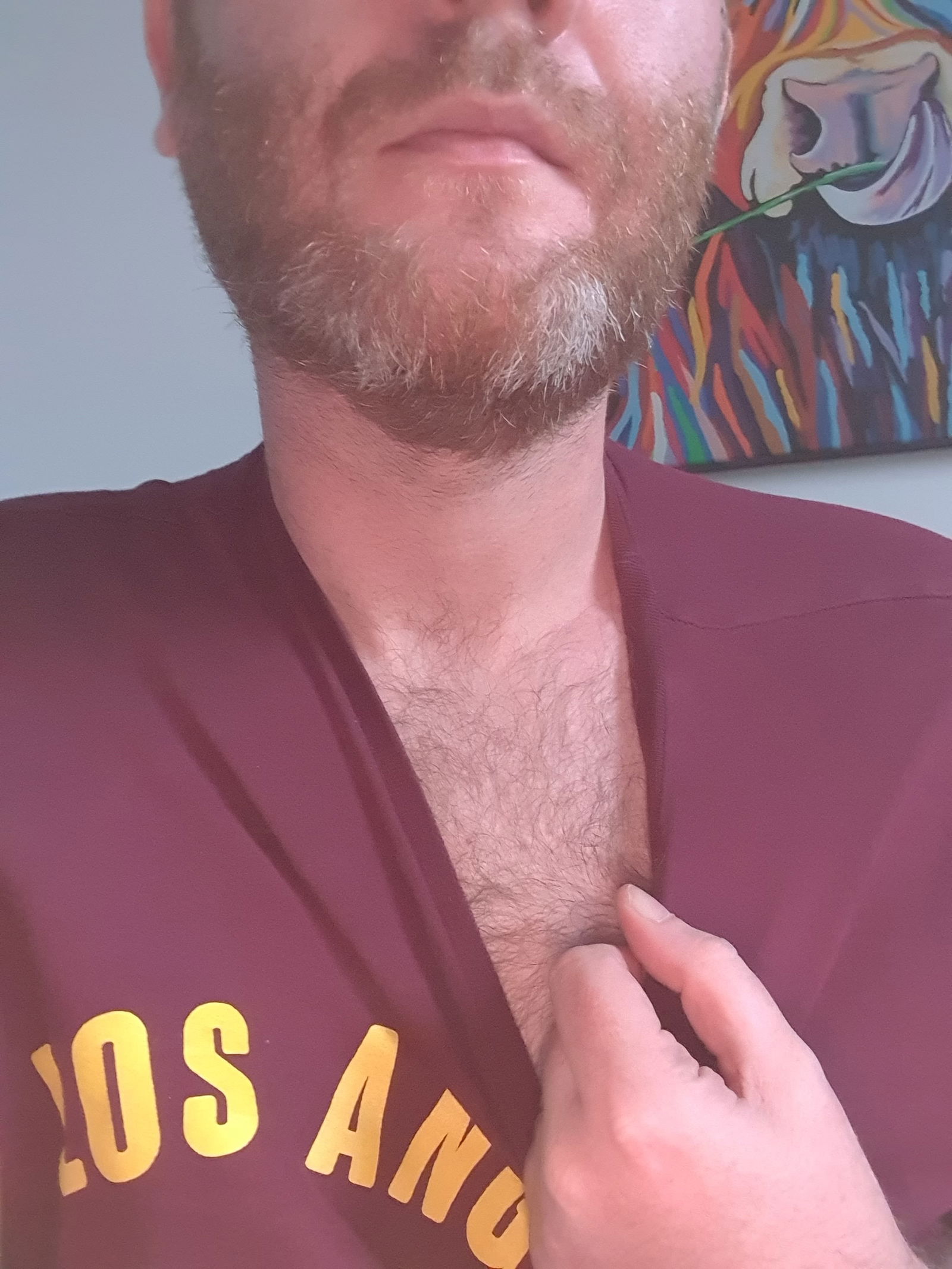 Scottish Bear's avatar