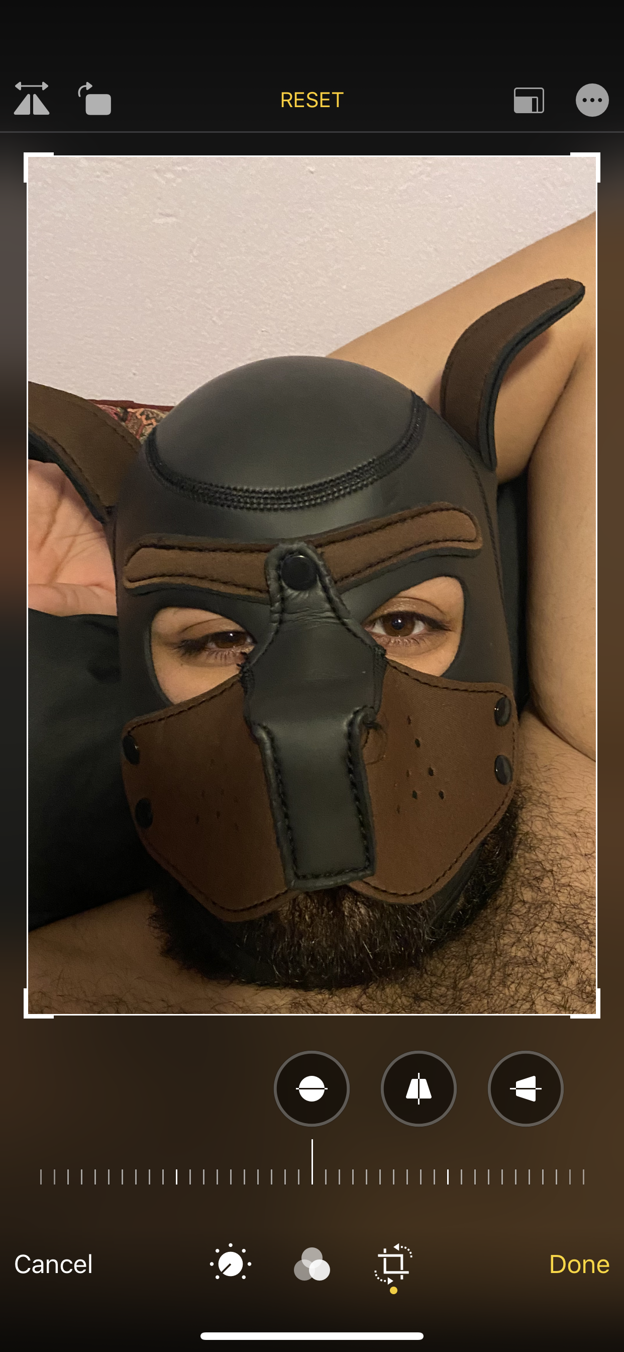 Scruffy's avatar