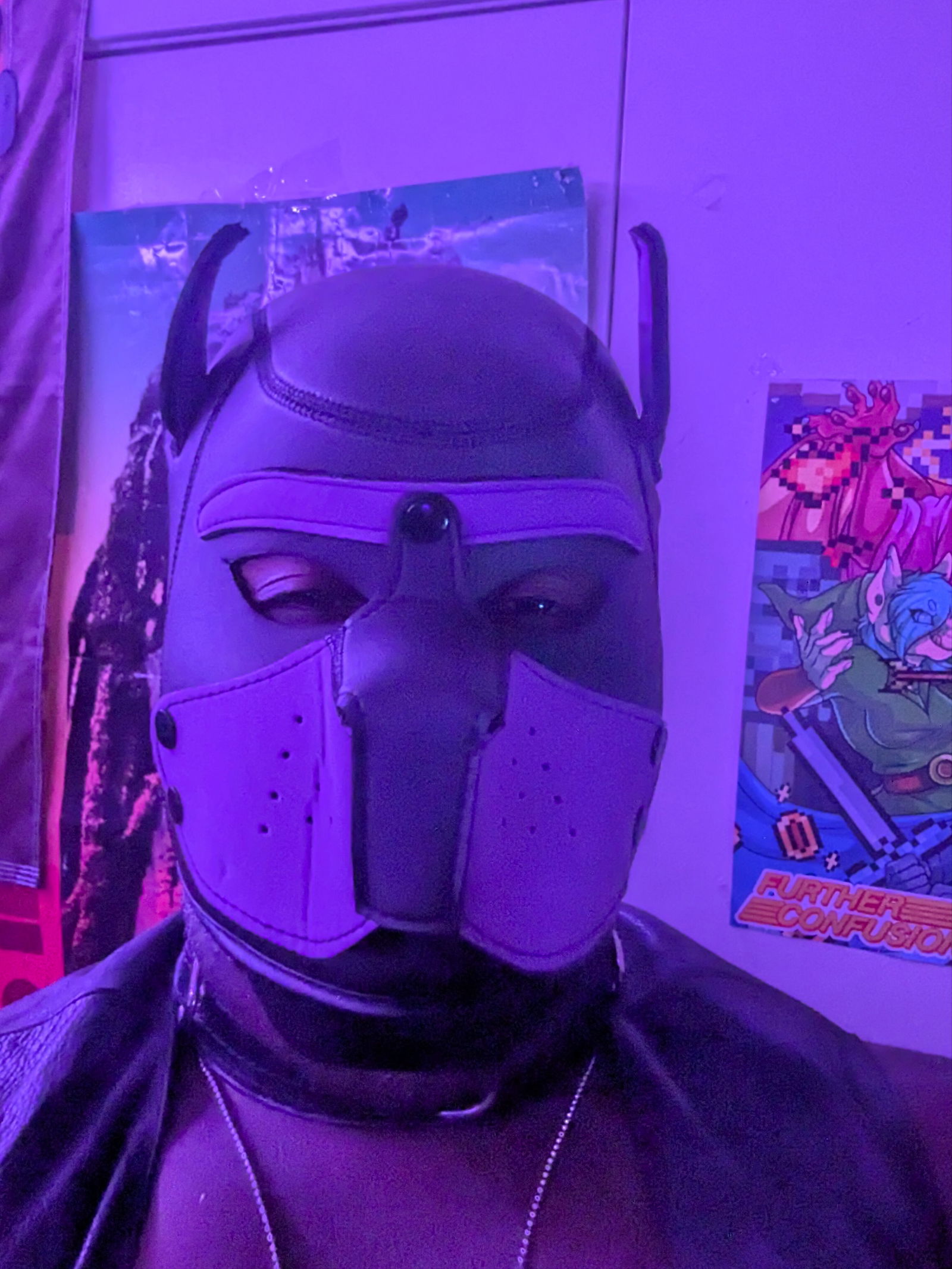 Sebby The Pup's avatar