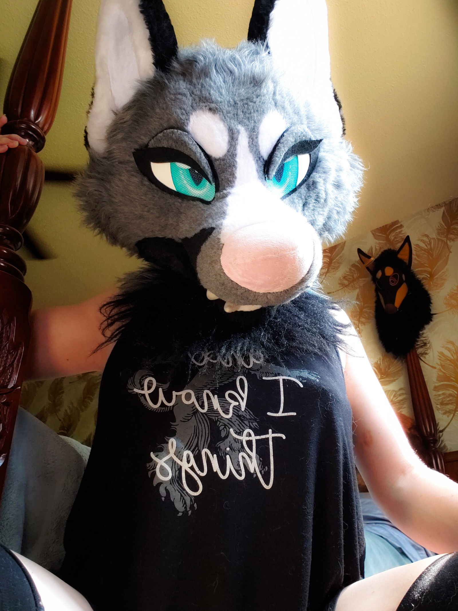 Senka Vixen's avatar