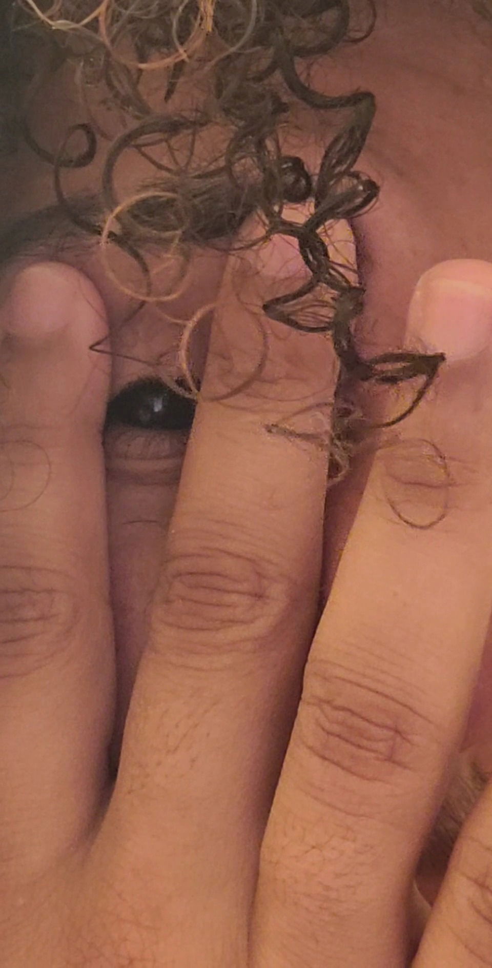 German Chocolate's avatar