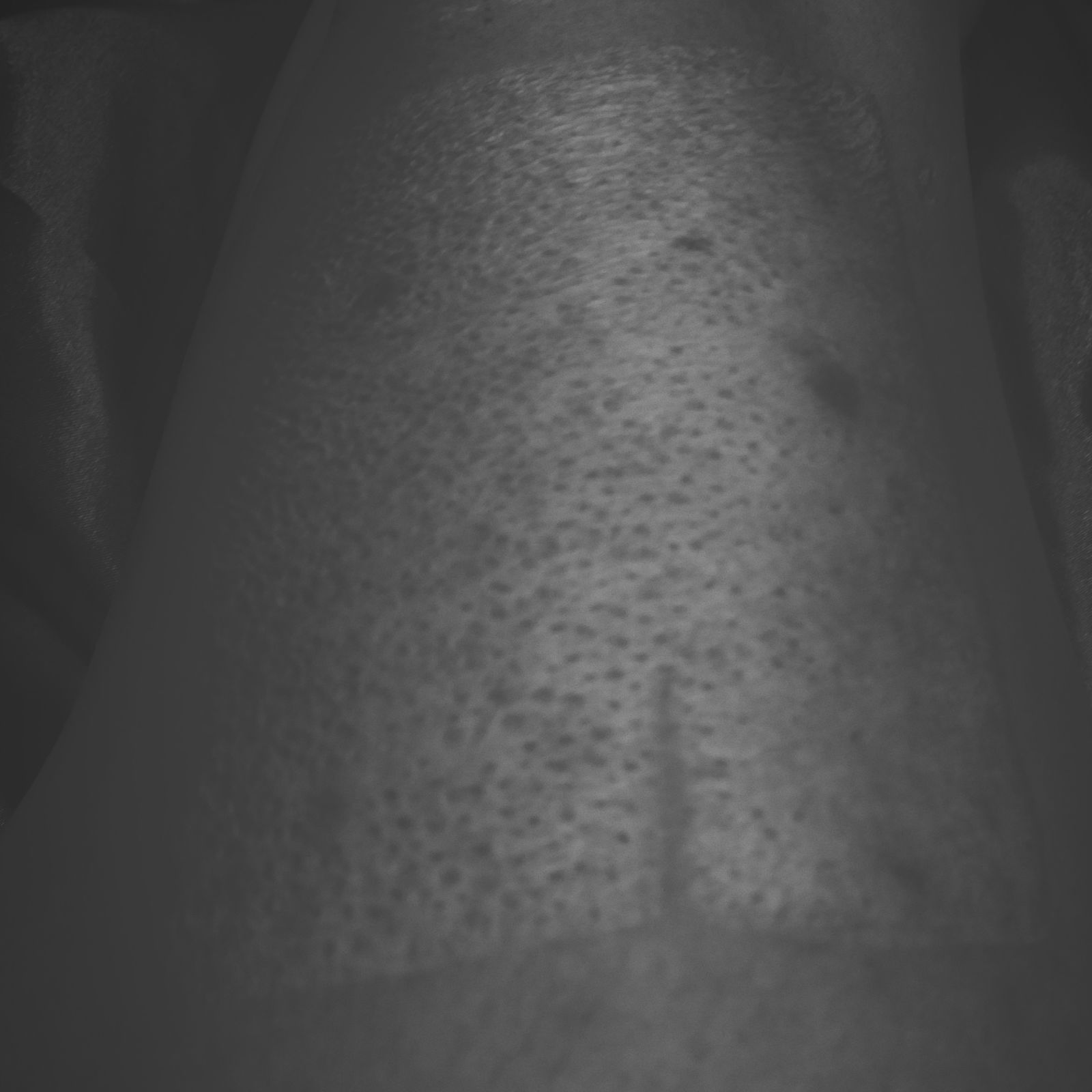 Sexy with the Scars's avatar