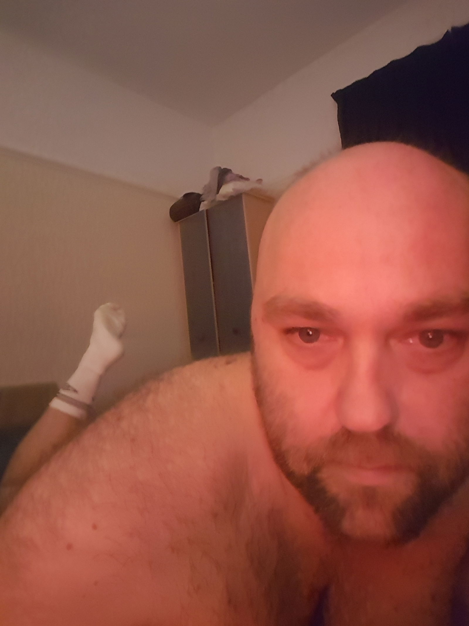 Shaunybear83's avatar