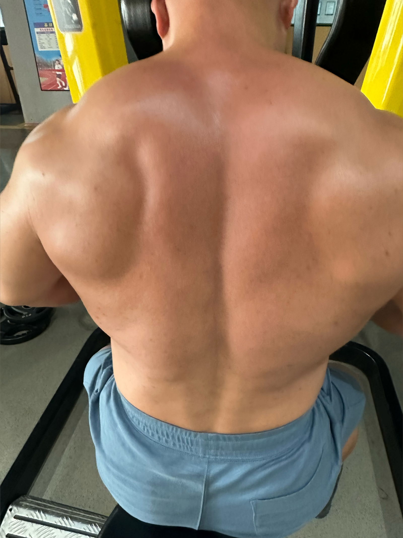 Muscle Bear Tiger's avatar