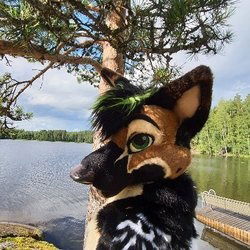 UnzippedShep's avatar