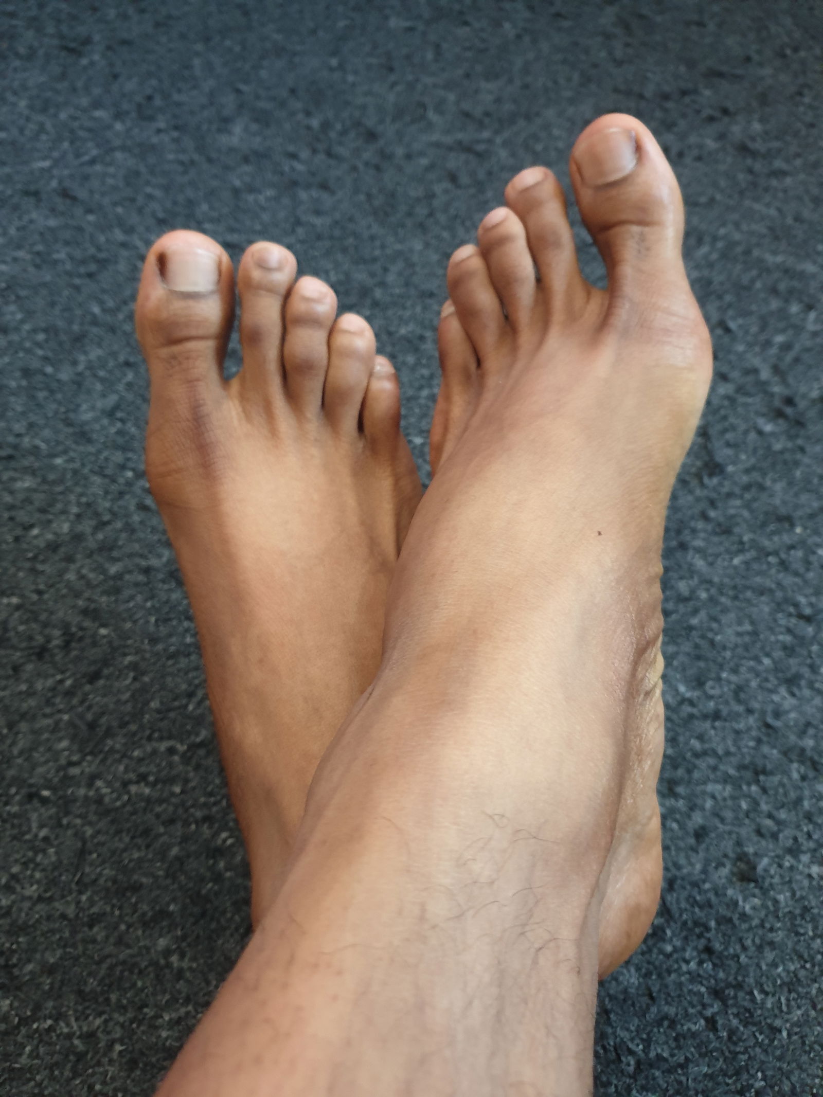 Silky Big Feet's avatar