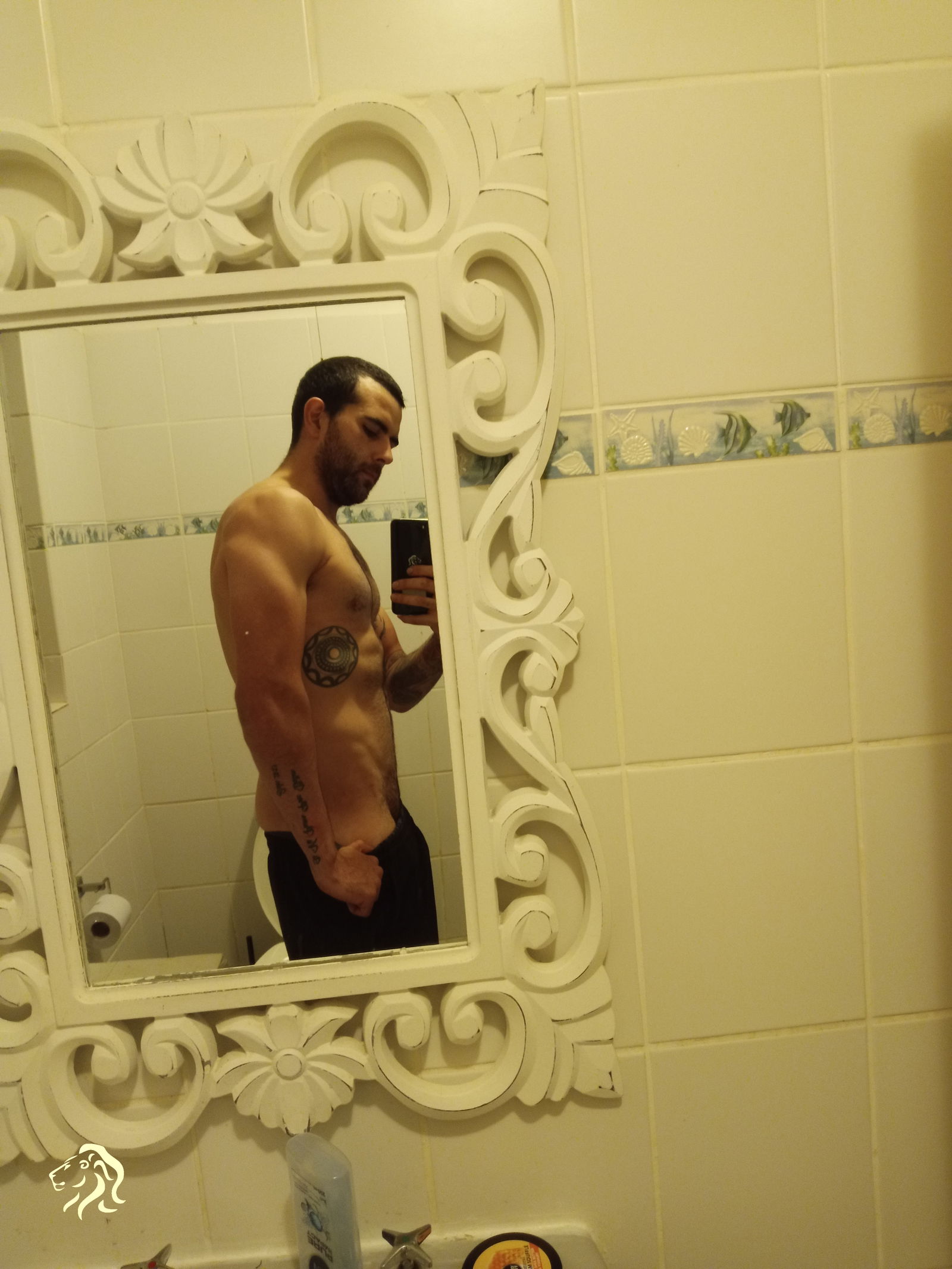 Alexander Fernandez's avatar