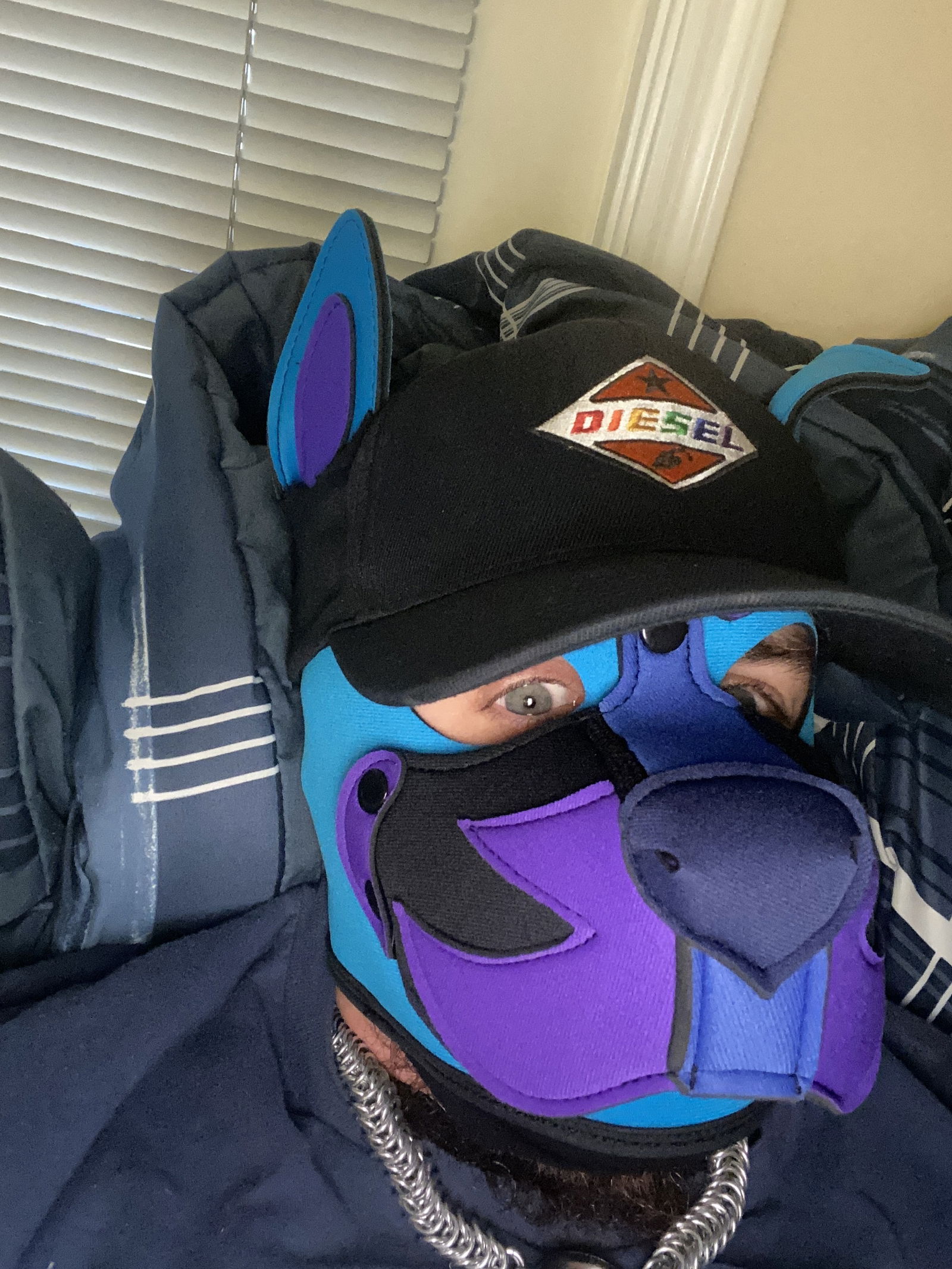 cub2bear's avatar