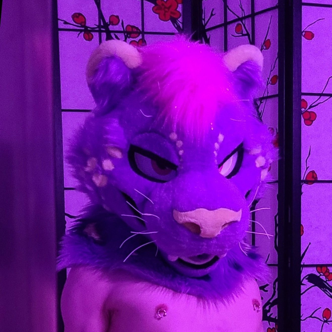blaise's avatar
