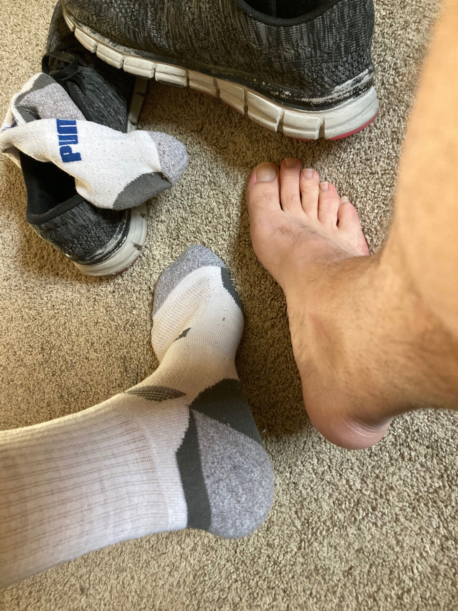 sockjunk's avatar