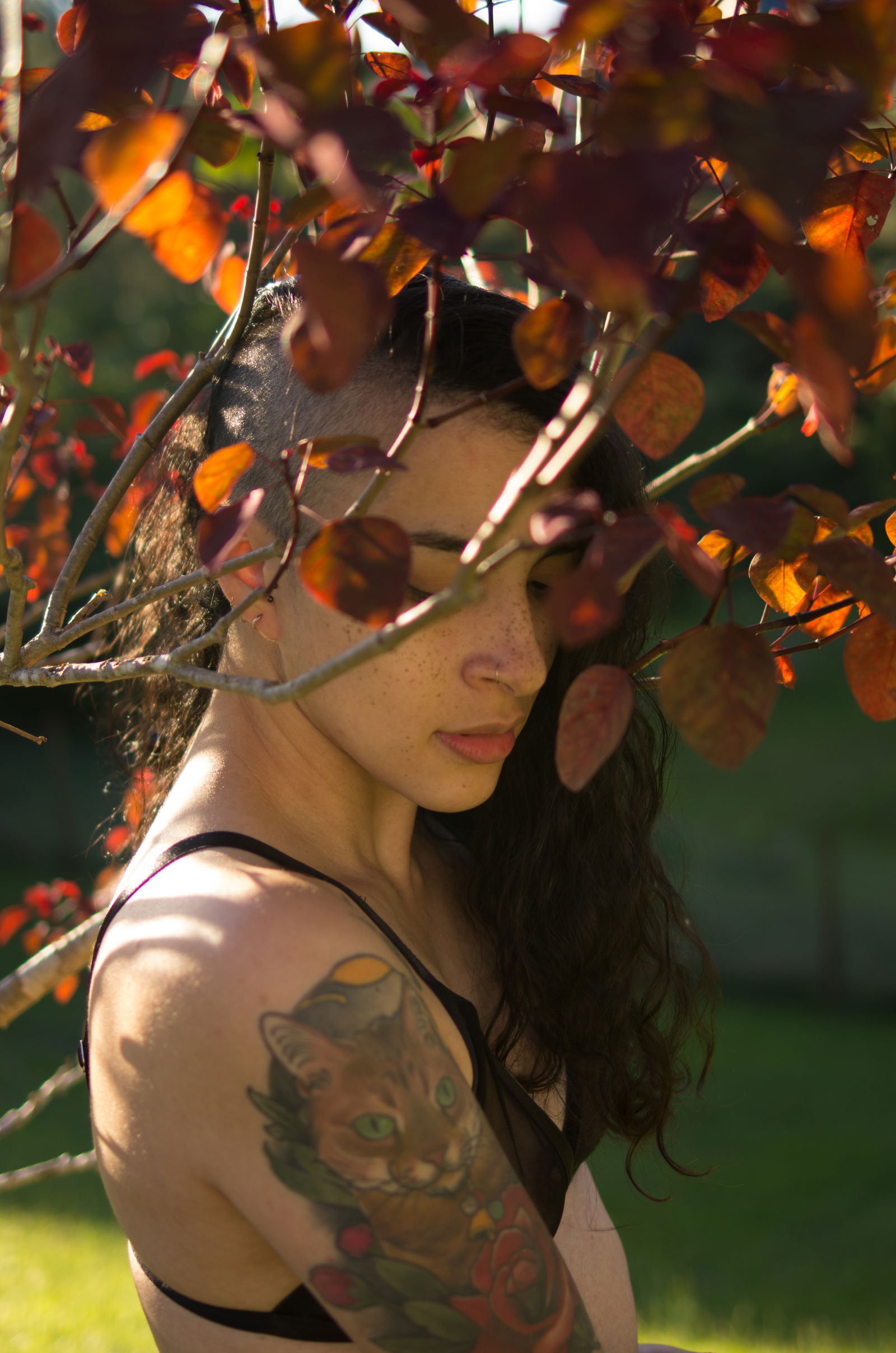SophieRose's avatar