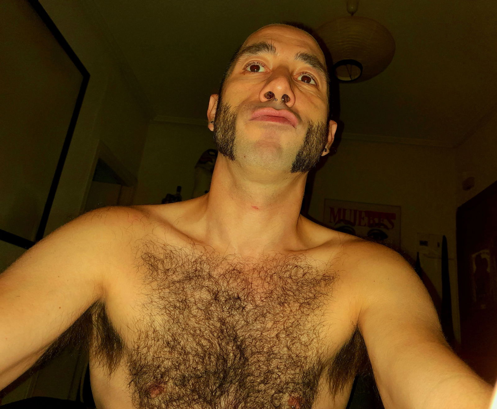 Spanish bull's avatar