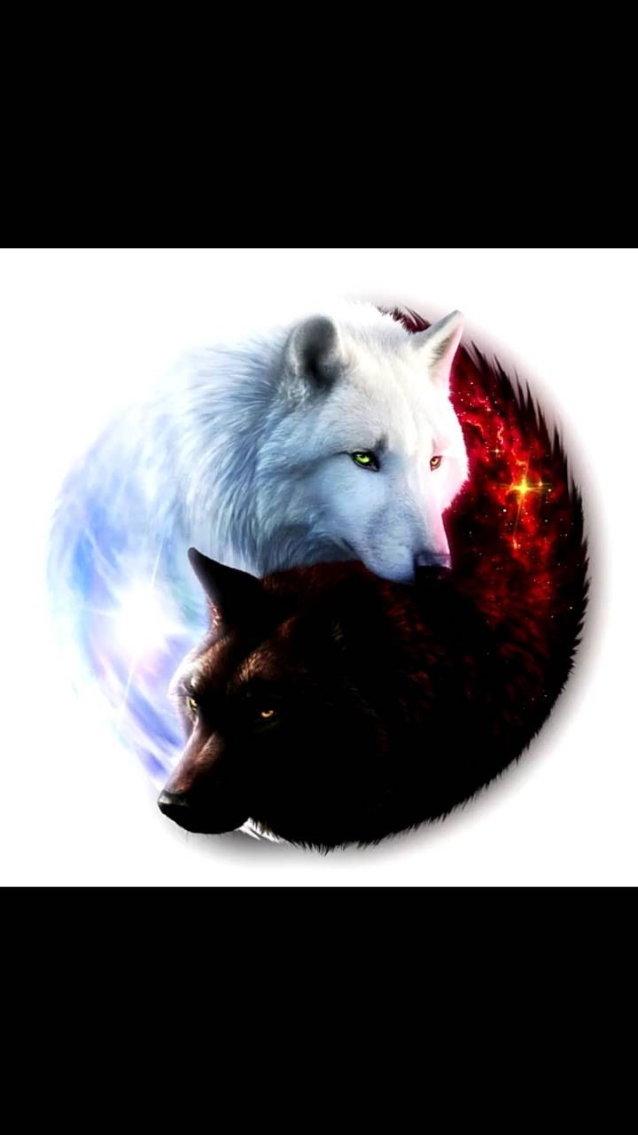 starlightboyz's avatar