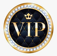 StarryNightsVIP's avatar