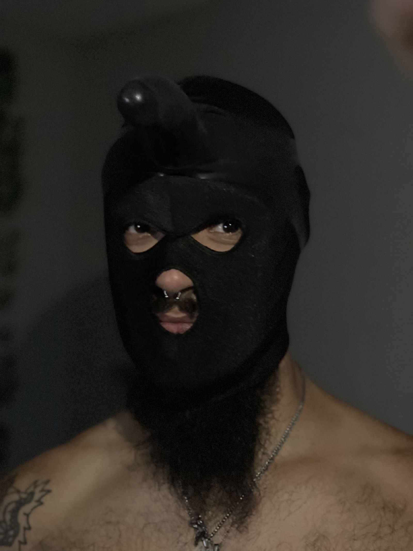 StepBrody's avatar