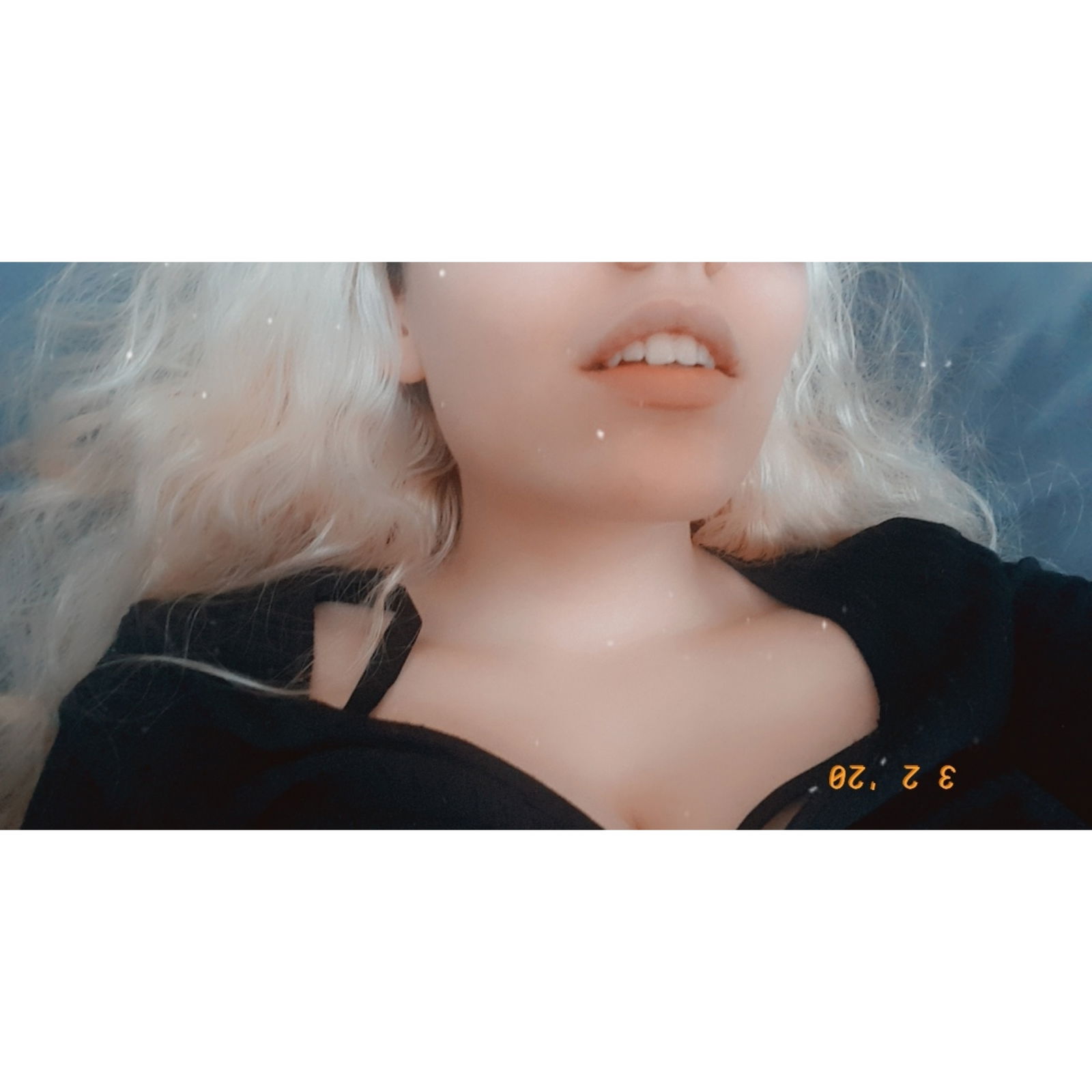 Stephanie Bradshaw's avatar