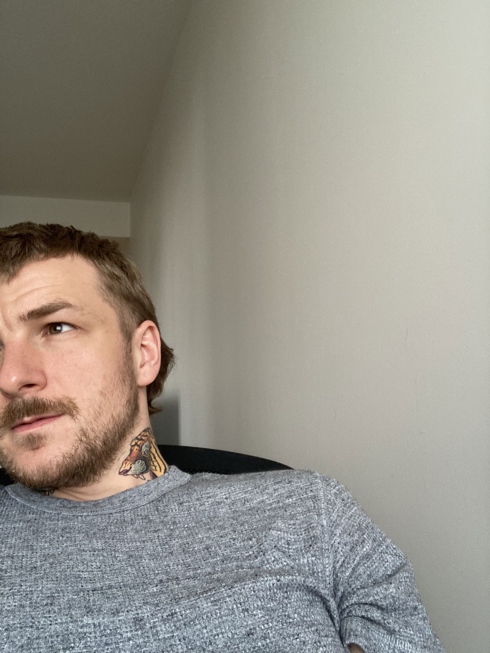 Steve's avatar