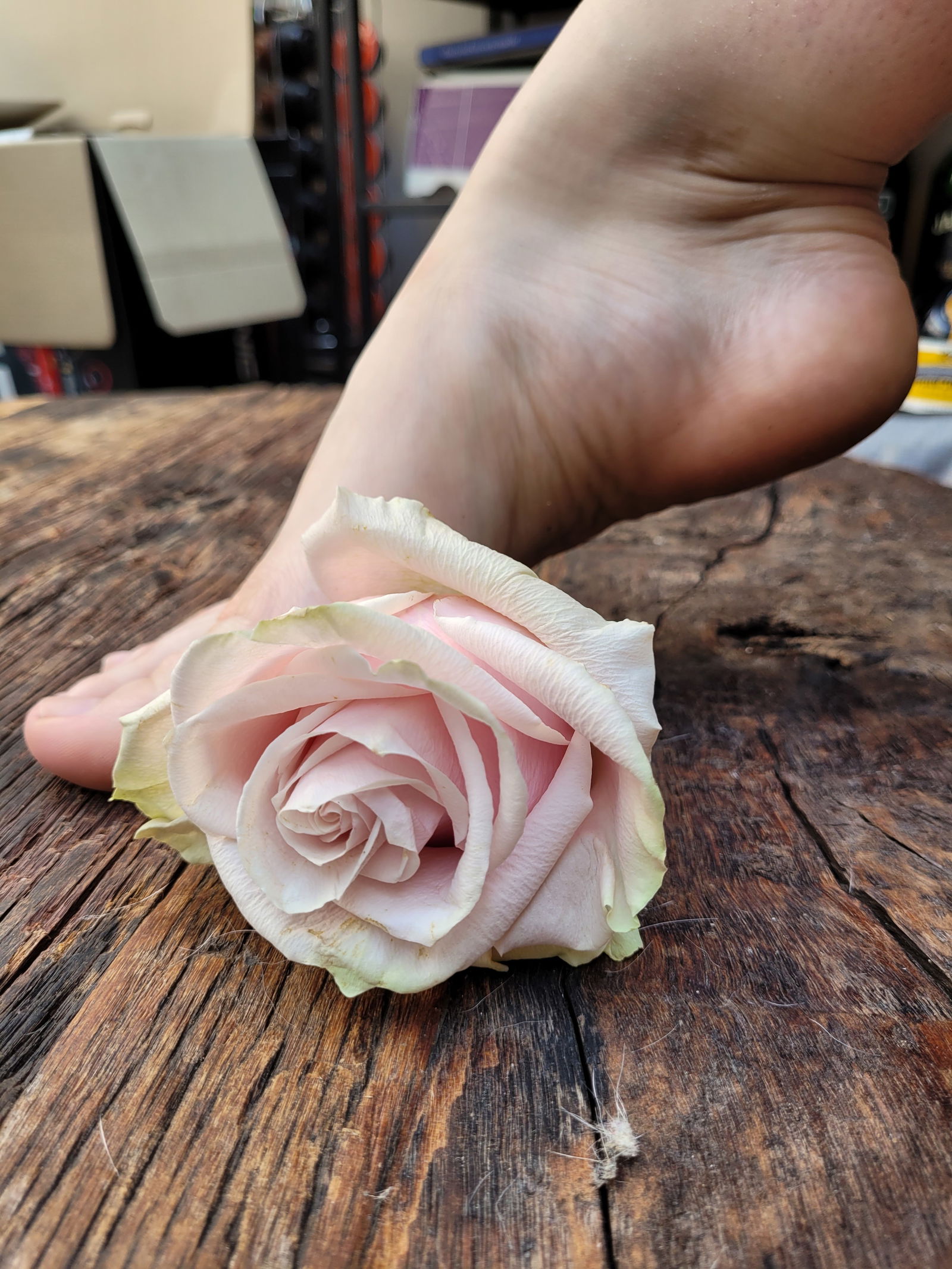 Sugarfeet3's avatar
