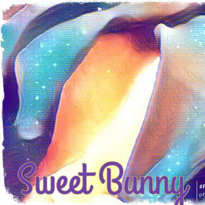 SweetBunny's avatar
