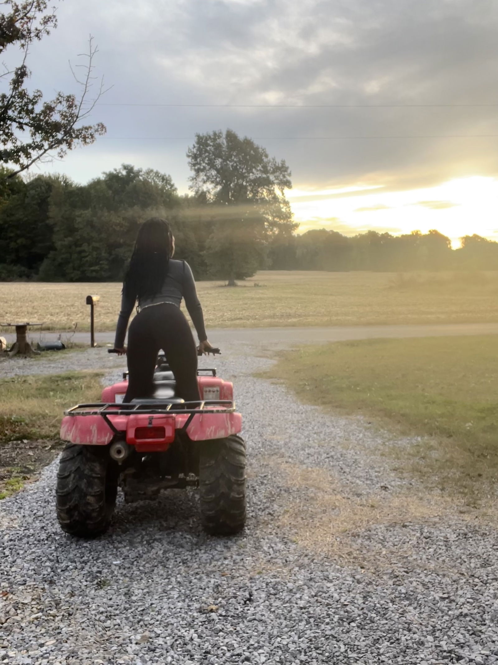 Sweet Potatoe's avatar